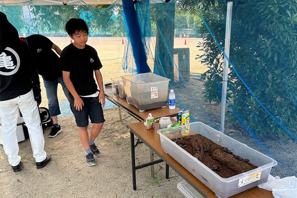 夏わくかぶとむしハウス