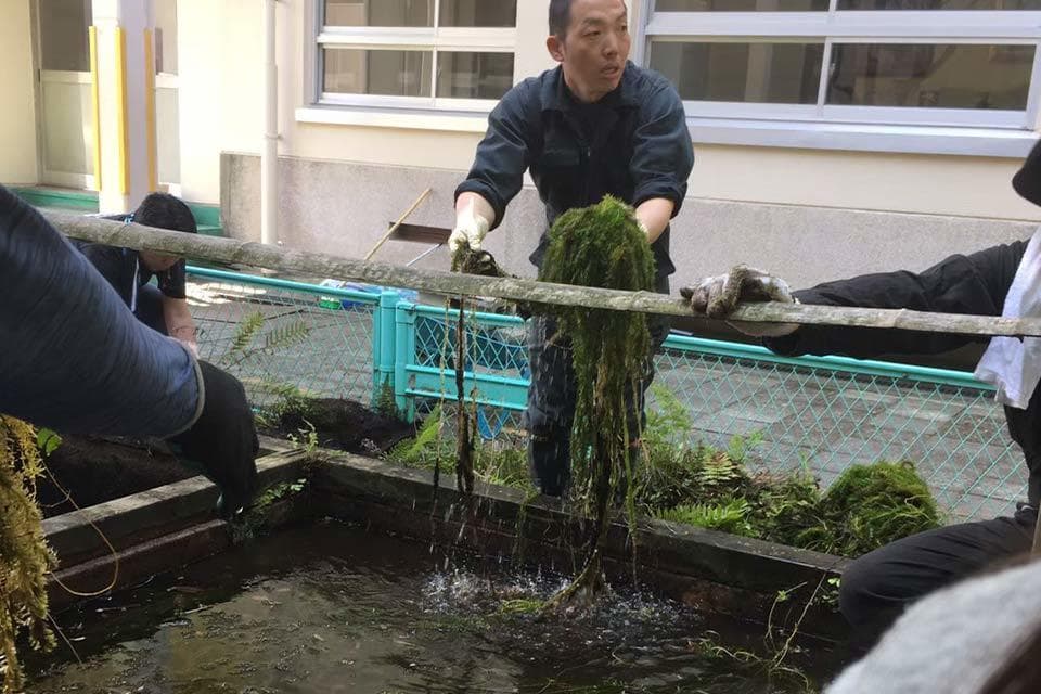 草や泥の取り除き