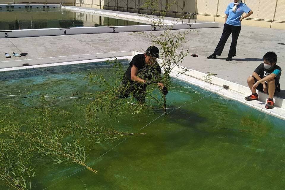 プールに仕掛けを浮かべます