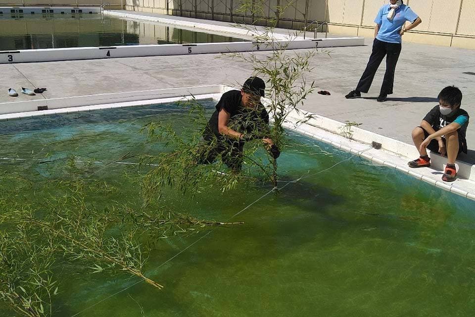 プールに仕掛けを浮かべます